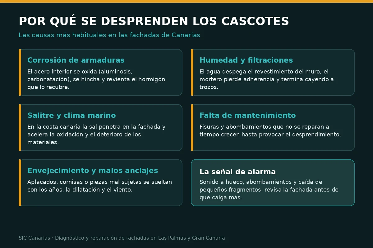 Infografía con las causas más habituales del desprendimiento de cascotes en fachadas: corrosión de armaduras, humedad, salitre, falta de mantenimiento y malos anclajes