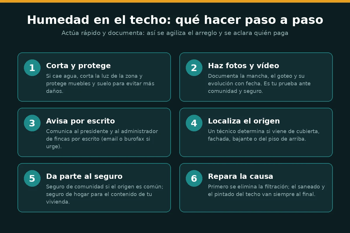 Infografía con los seis pasos a seguir cuando aparece una humedad en el techo de una vivienda en comunidad