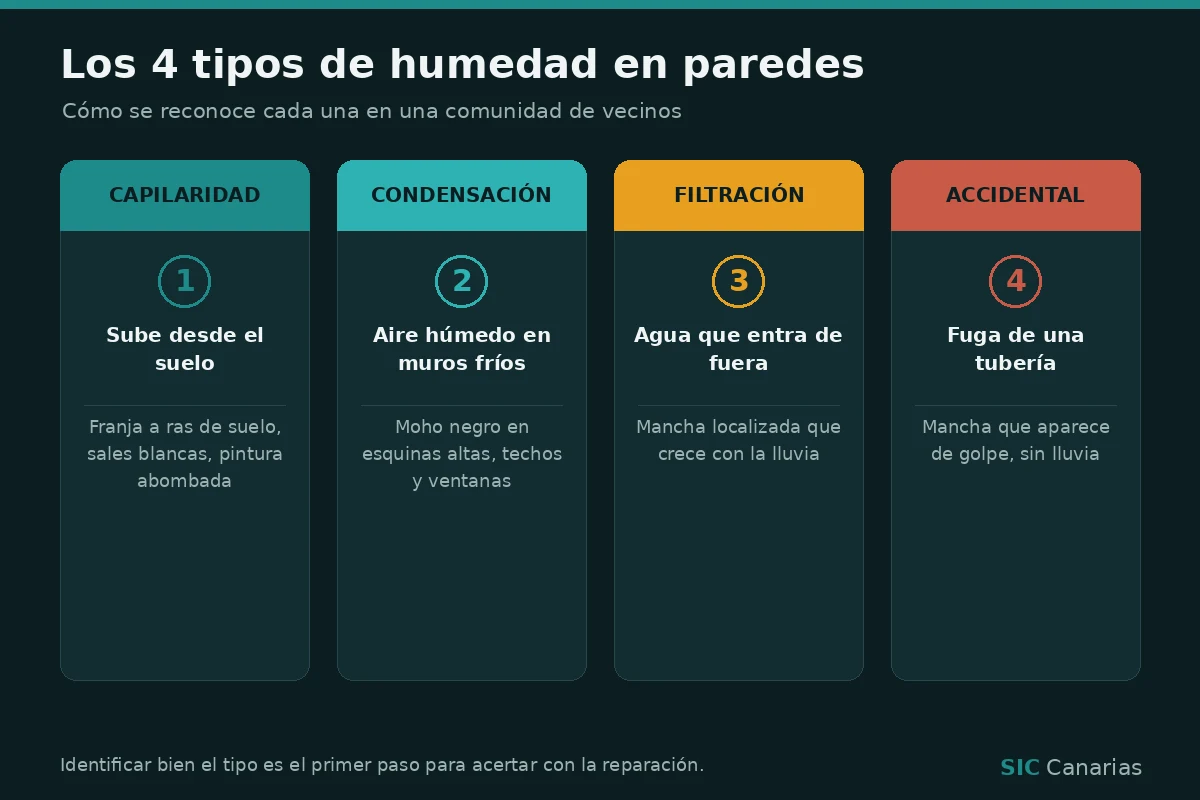 Infografía con los 4 tipos de humedades en paredes: capilaridad, condensación, filtración y accidental, con sus señales