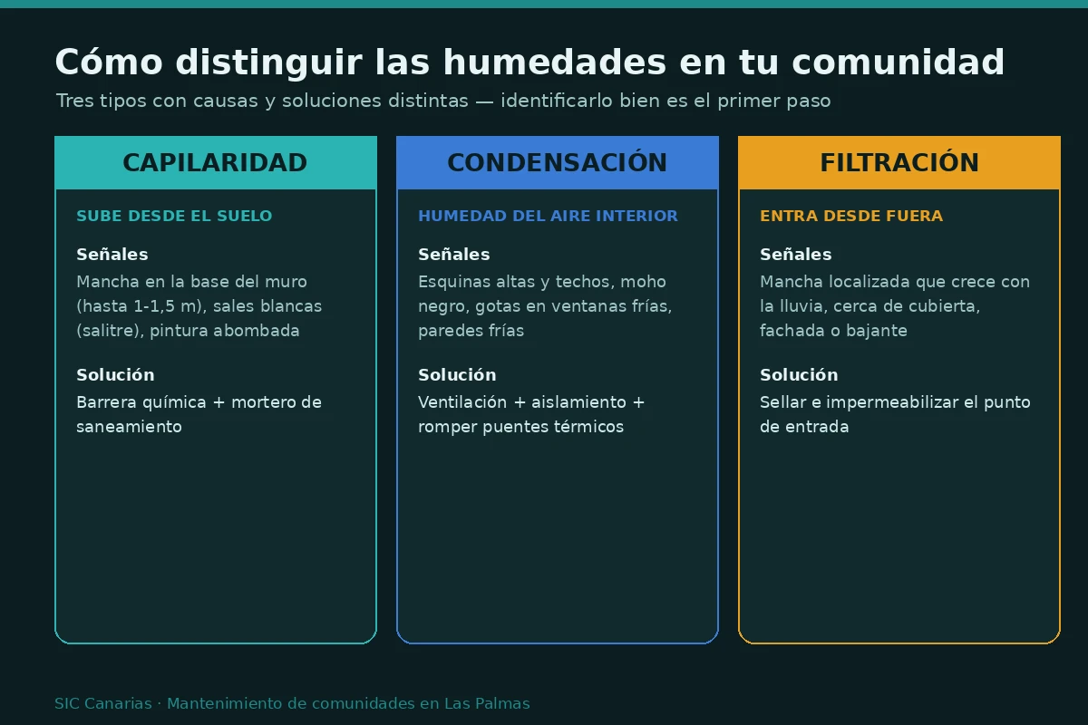 Infografía que compara la humedad por capilaridad, la condensación y la filtración: señales y solución de cada tipo