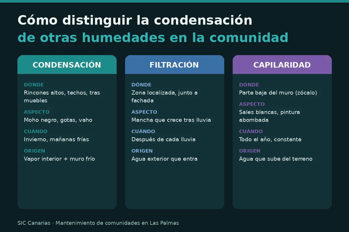 Infografía que compara la condensación con la filtración y la capilaridad en humedades de comunidades