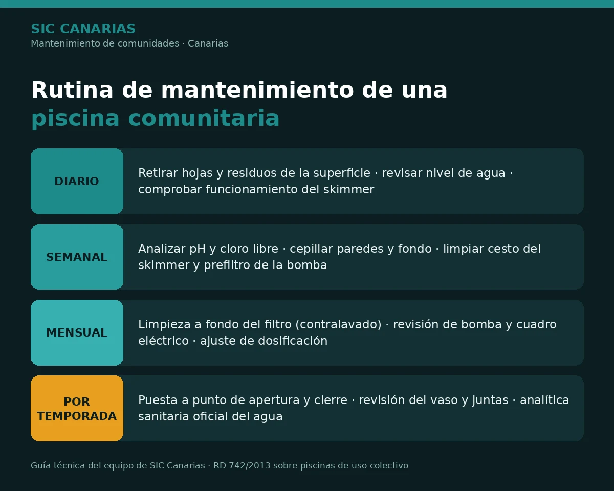 Infografía con la rutina de mantenimiento de una piscina comunitaria: tareas diarias, semanales, mensuales y por temporada