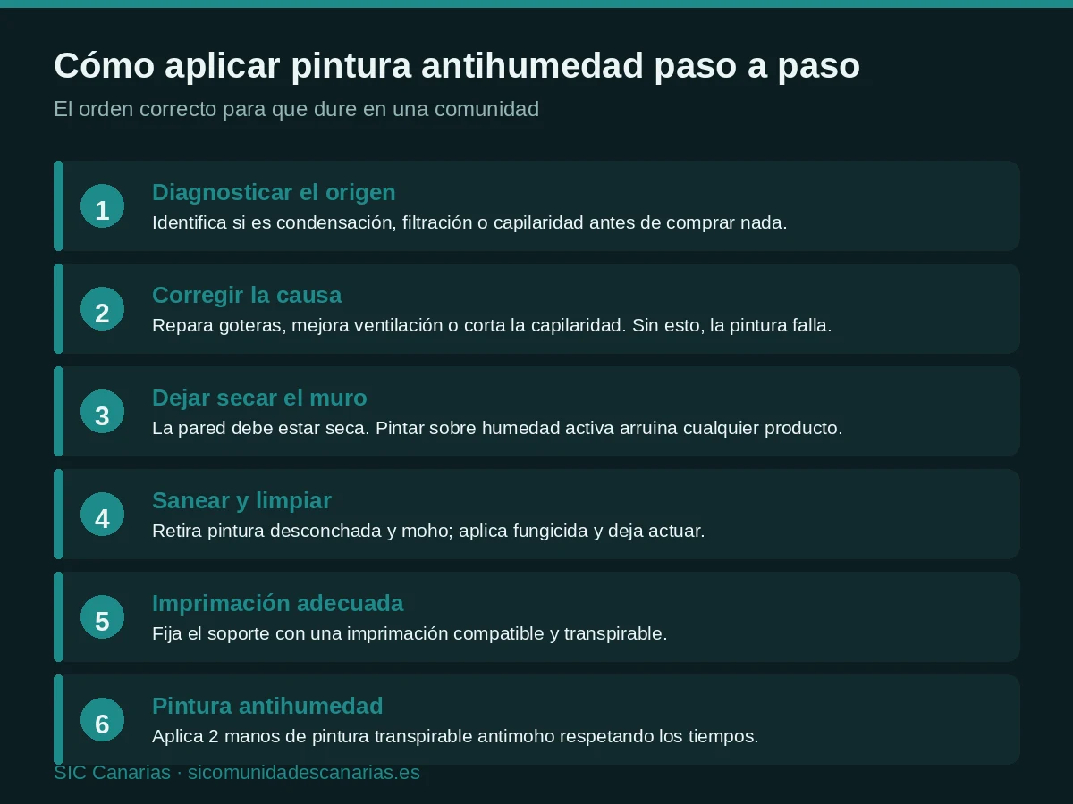 Infografía con el proceso paso a paso para aplicar pintura antihumedad correctamente en una comunidad