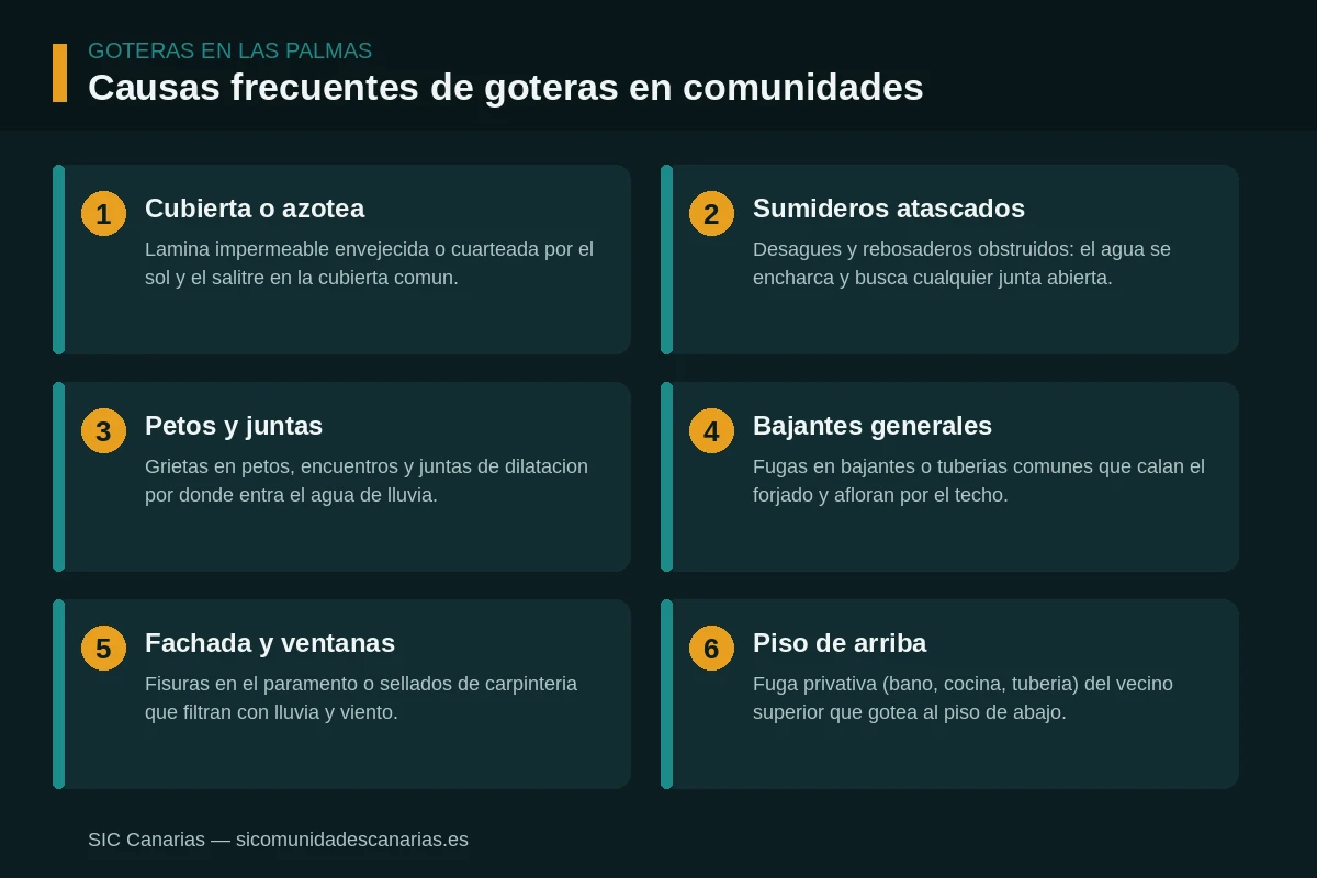 Infografía con las causas frecuentes de goteras en comunidades de Las Palmas: cubierta, sumideros, petos, bajantes, fachada y piso de arriba