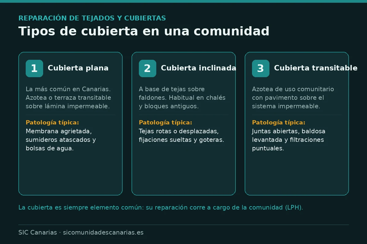 Infografía con los tipos de cubierta de una comunidad —plana, inclinada y transitable— y la patología típica de cada una