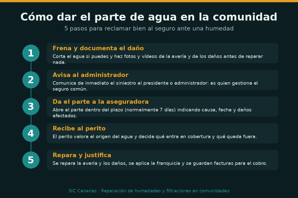 Infografía con los cinco pasos para dar el parte de agua al seguro de comunidad: documentar el daño, avisar al administrador, dar el parte, recibir al perito y reparar